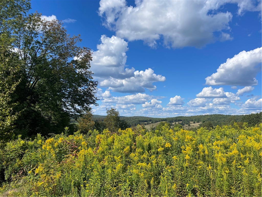 19.221 Turnpike Road Meredith, NY 13753 - Photo 4 of 10