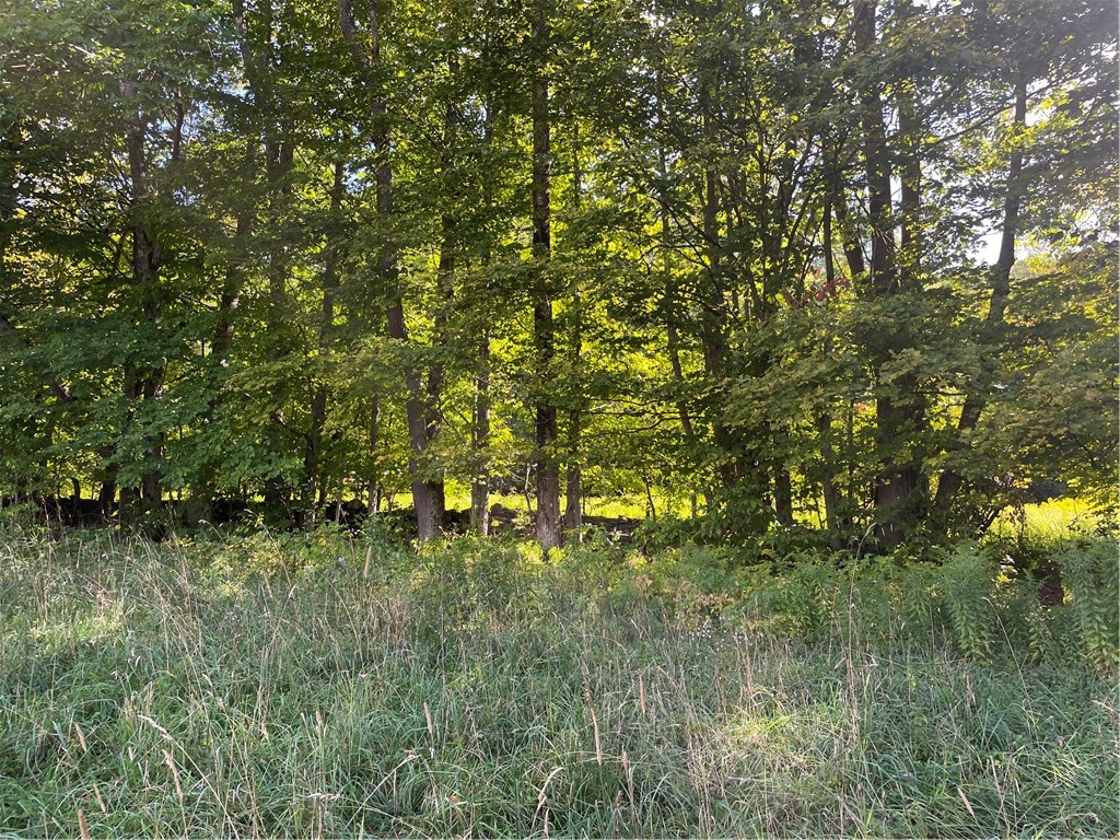 19.221 Turnpike Road Meredith, NY 13753 - Photo 10 of 10
