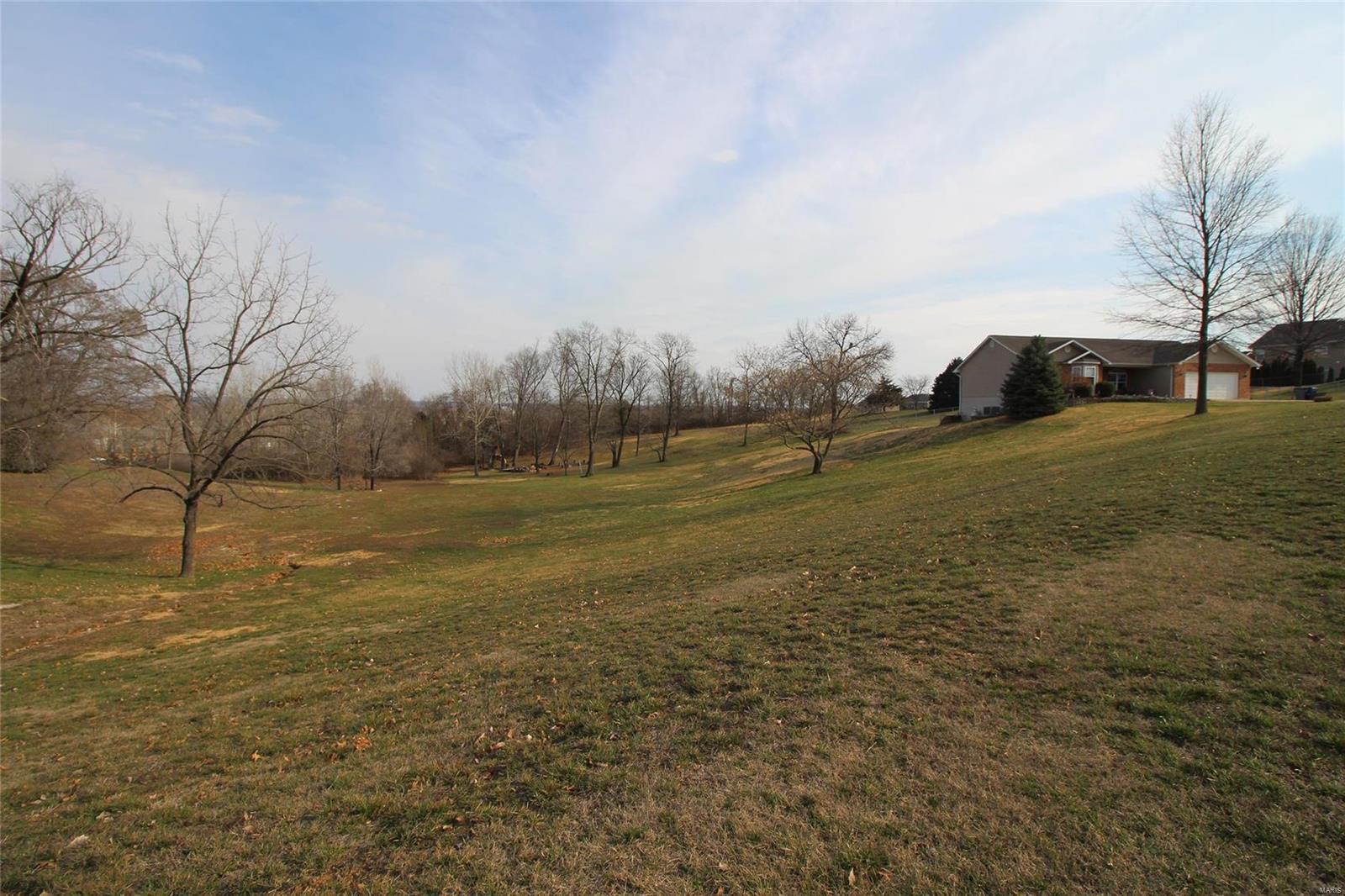454 Magoffin Road St. Louis, MO 63129 - Photo 52 of 59 Gallery Image 52
