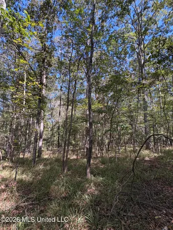 $182,000 | 229 Barnes Road, Florence, MS 39073