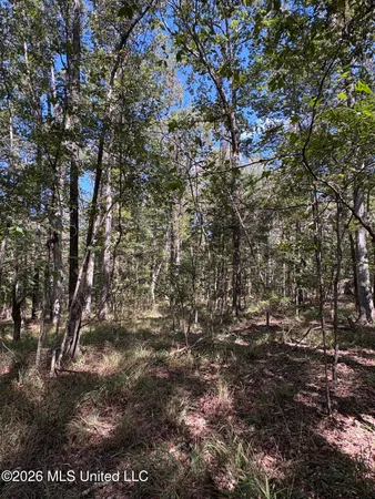 $182,000 | 229 Barnes Road, Florence, MS 39073