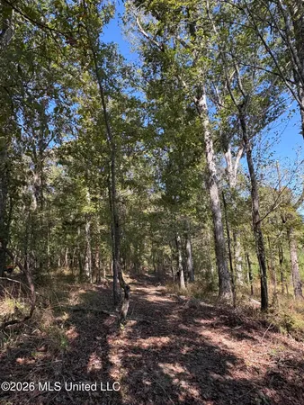 $182,000 | 229 Barnes Road, Florence, MS 39073