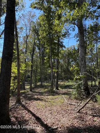 $182,000 | 229 Barnes Road, Florence, MS 39073