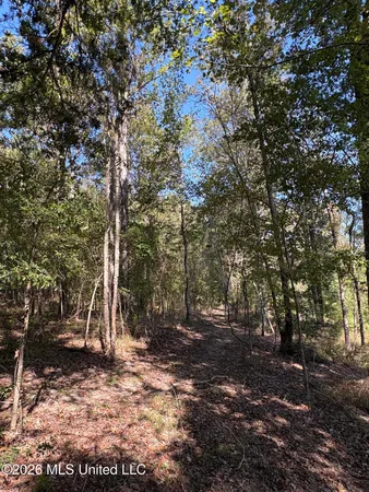 $182,000 | 229 Barnes Road, Florence, MS 39073