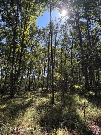 $182,000 | 229 Barnes Road, Florence, MS 39073