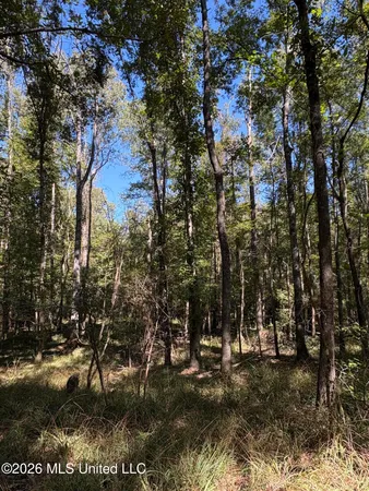 $182,000 | 229 Barnes Road, Florence, MS 39073