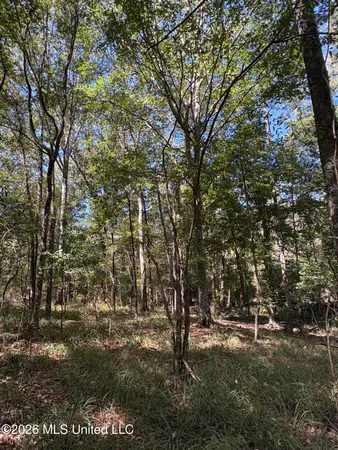 $182,000 | 229 Barnes Road, Florence, MS 39073