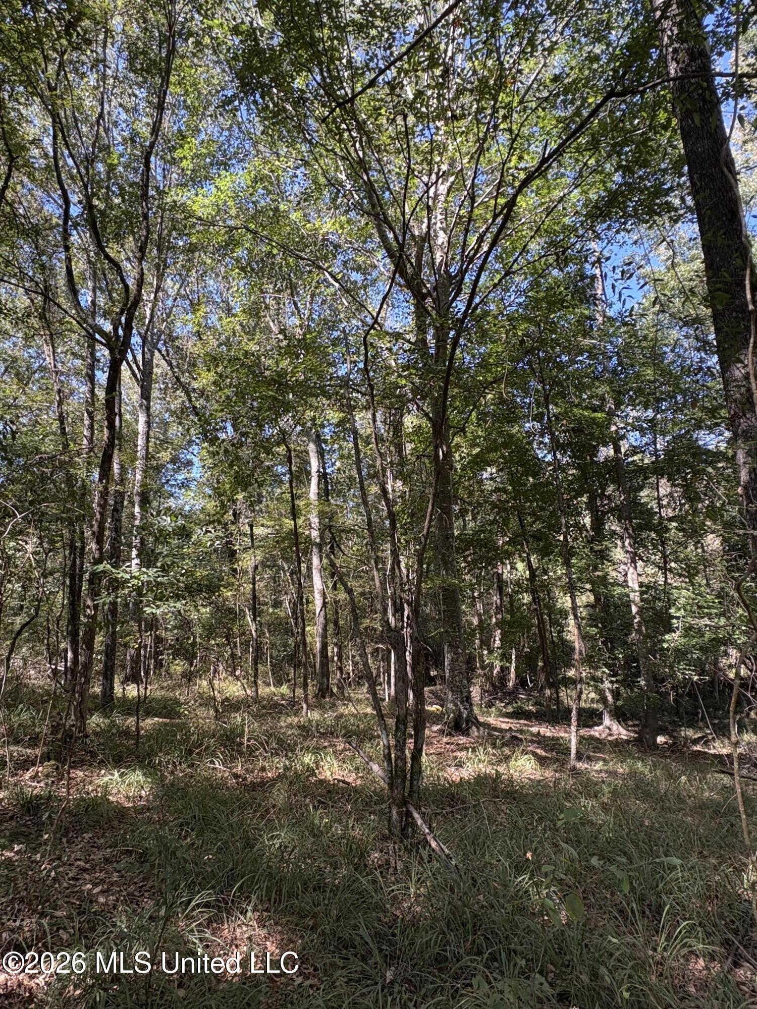 229 Barnes Road Florence, MS 39073 - Photo 18 of 27 IMG_0586