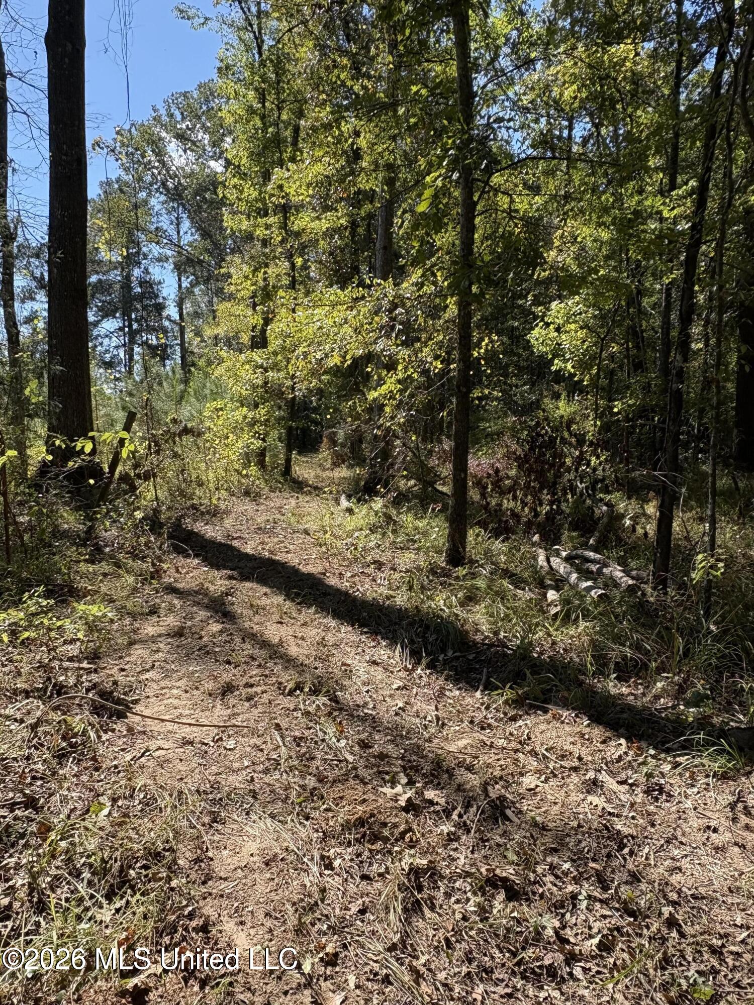 229 Barnes Road Florence, MS 39073 - Photo 19 of 27 IMG_0581