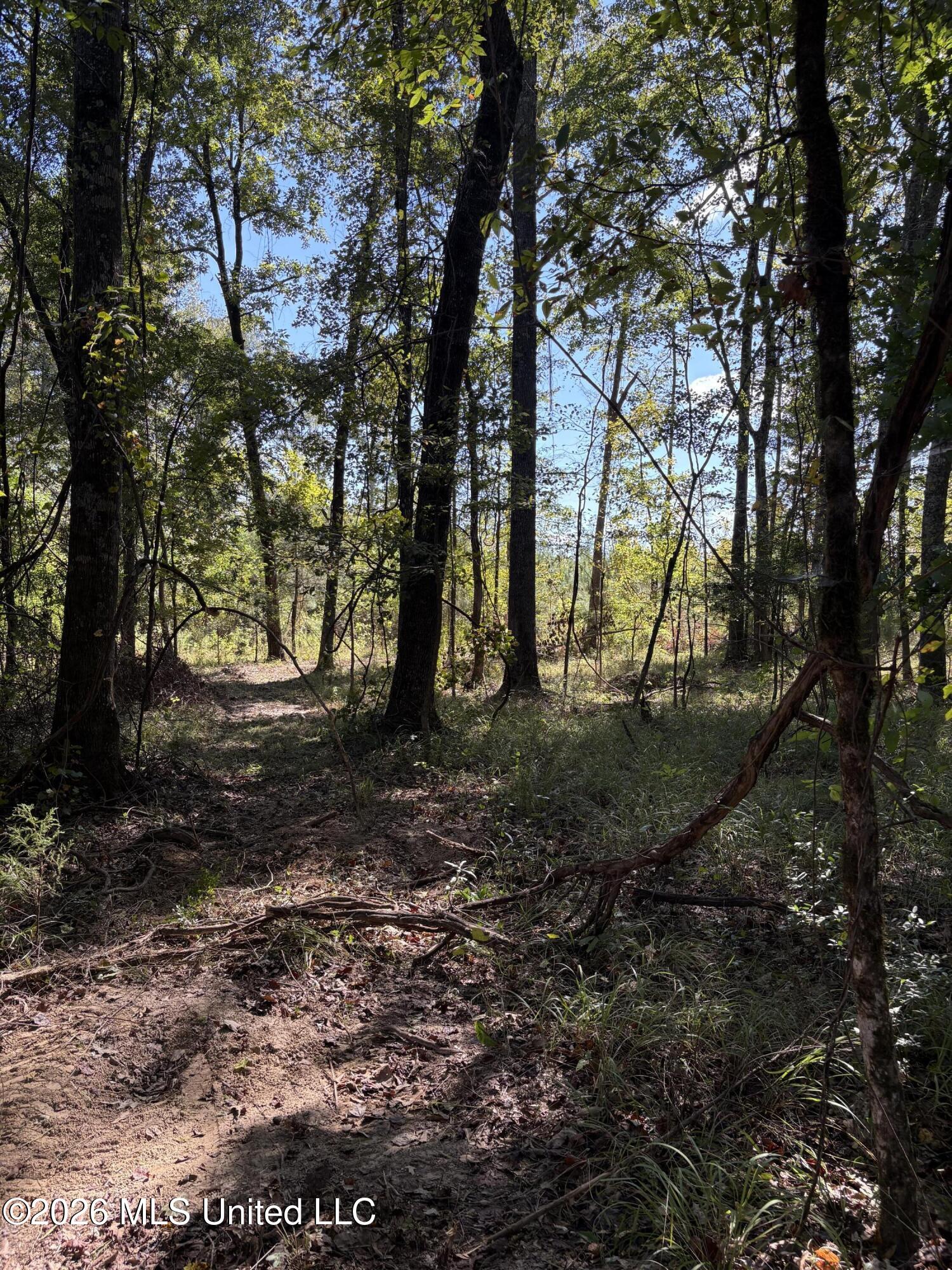 229 Barnes Road Florence, MS 39073 - Photo 20 of 27 IMG_0579