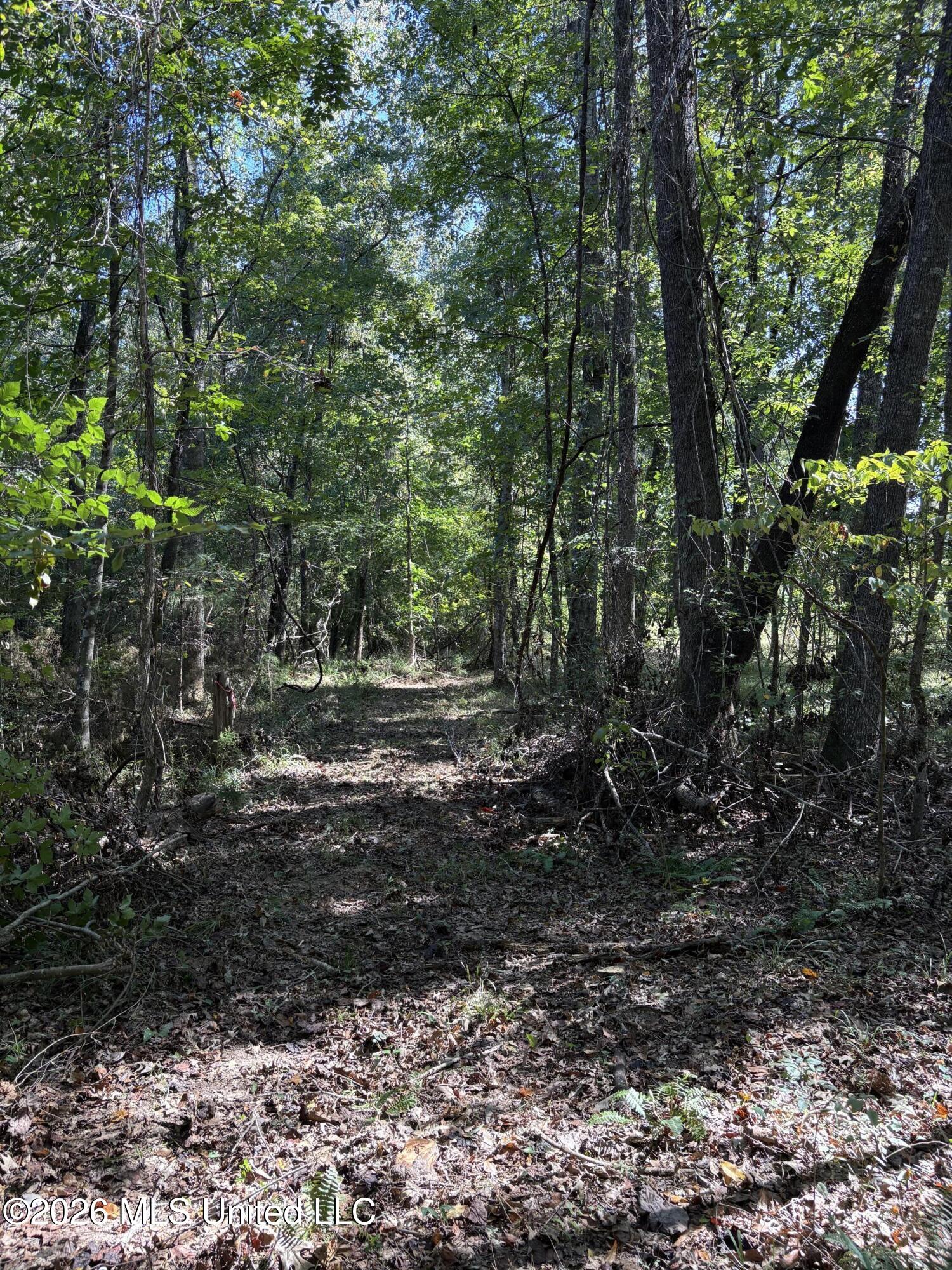 229 Barnes Road Florence, MS 39073 - Photo 21 of 27 IMG_0578