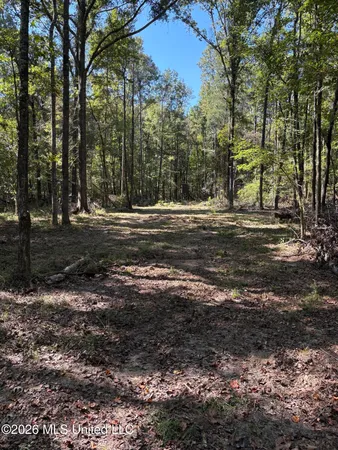 $182,000 | 229 Barnes Road, Florence, MS 39073