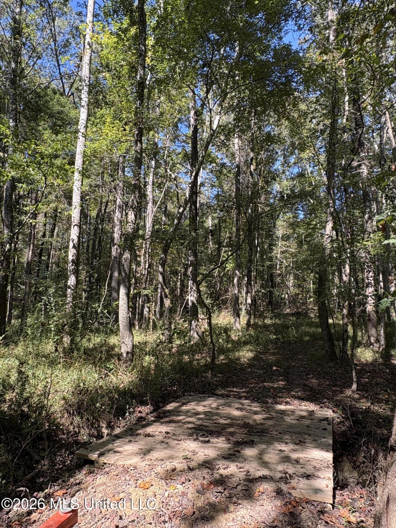 229 Barnes Road Florence, MS 39073 - Photo 23 of 27 IMG_0582