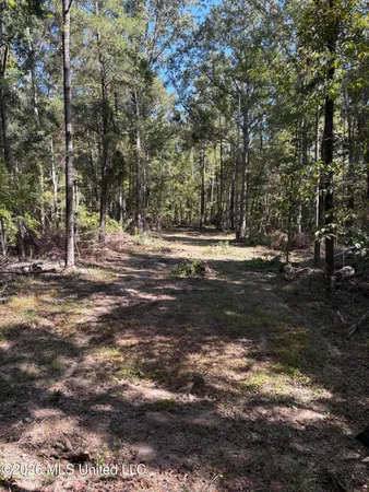 $182,000 | 229 Barnes Road, Florence, MS 39073