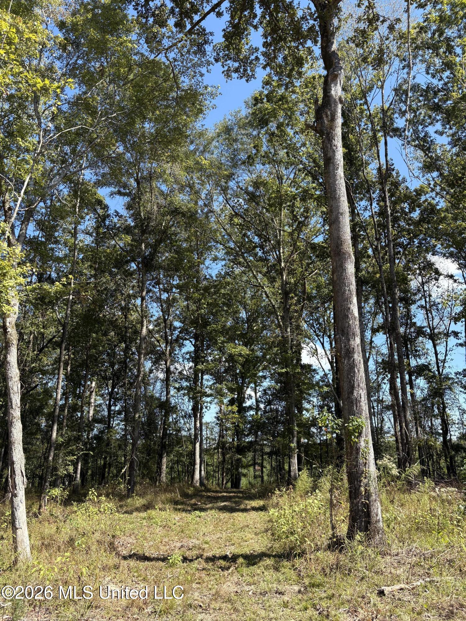 229 Barnes Road Florence, MS 39073 - Photo 5 of 27 IMG_0605