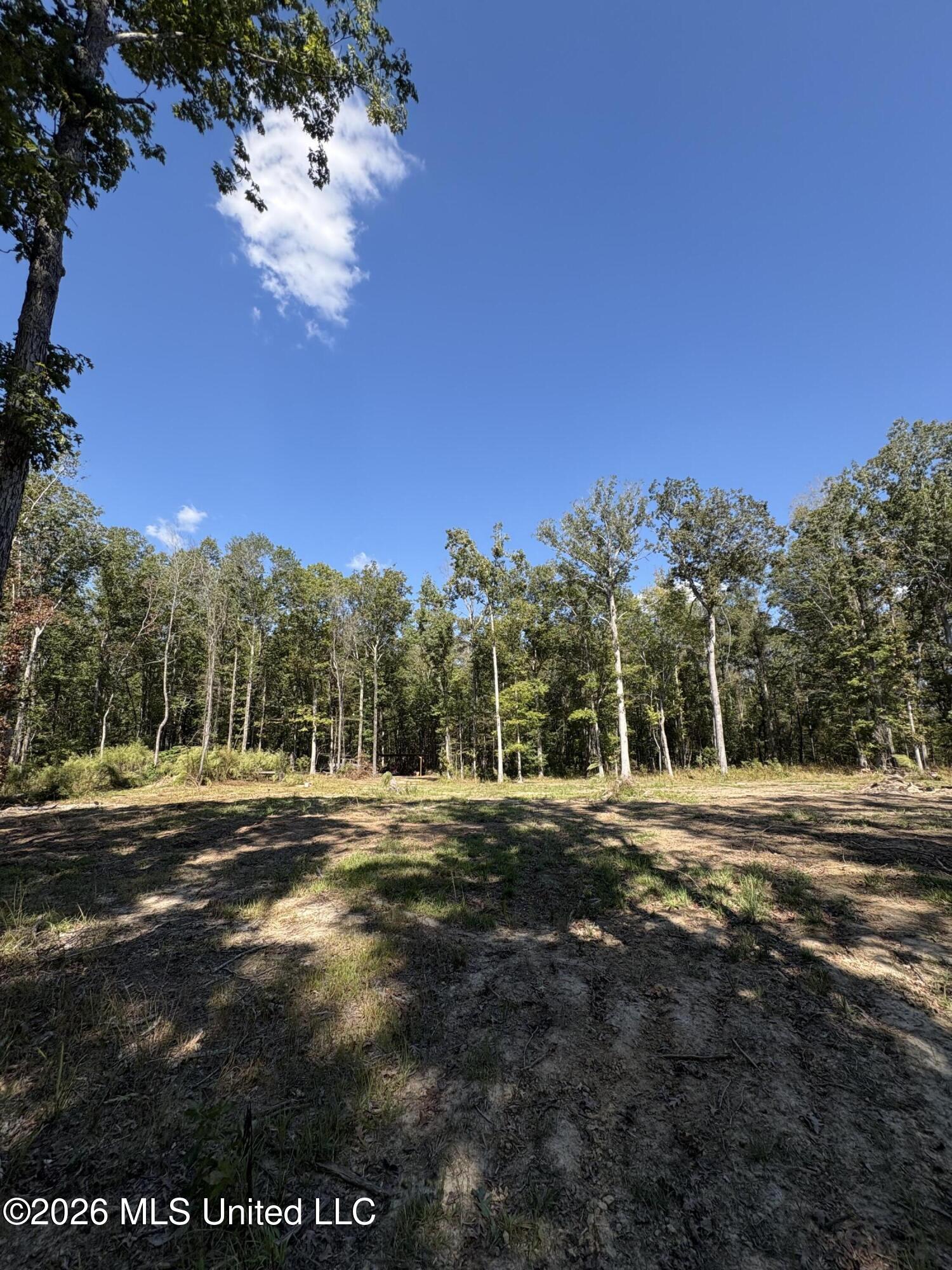 229 Barnes Road Florence, MS 39073 - Photo 7 of 27 IMG_0600