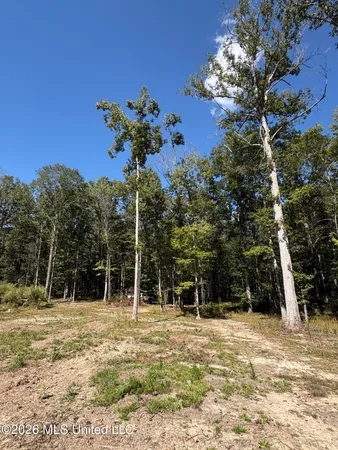 $182,000 | 229 Barnes Road, Florence, MS 39073