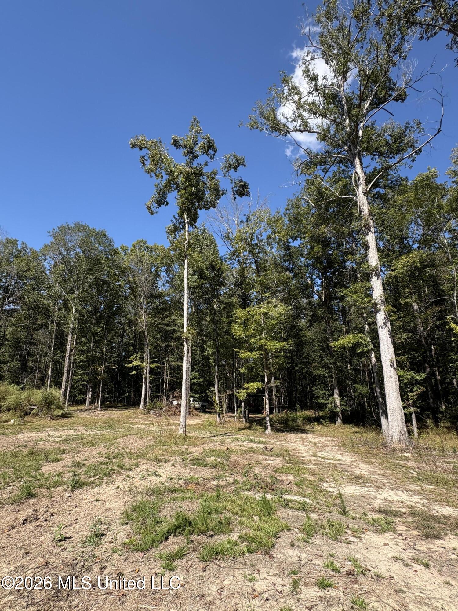 229 Barnes Road Florence, MS 39073 - Photo 8 of 27 IMG_0599