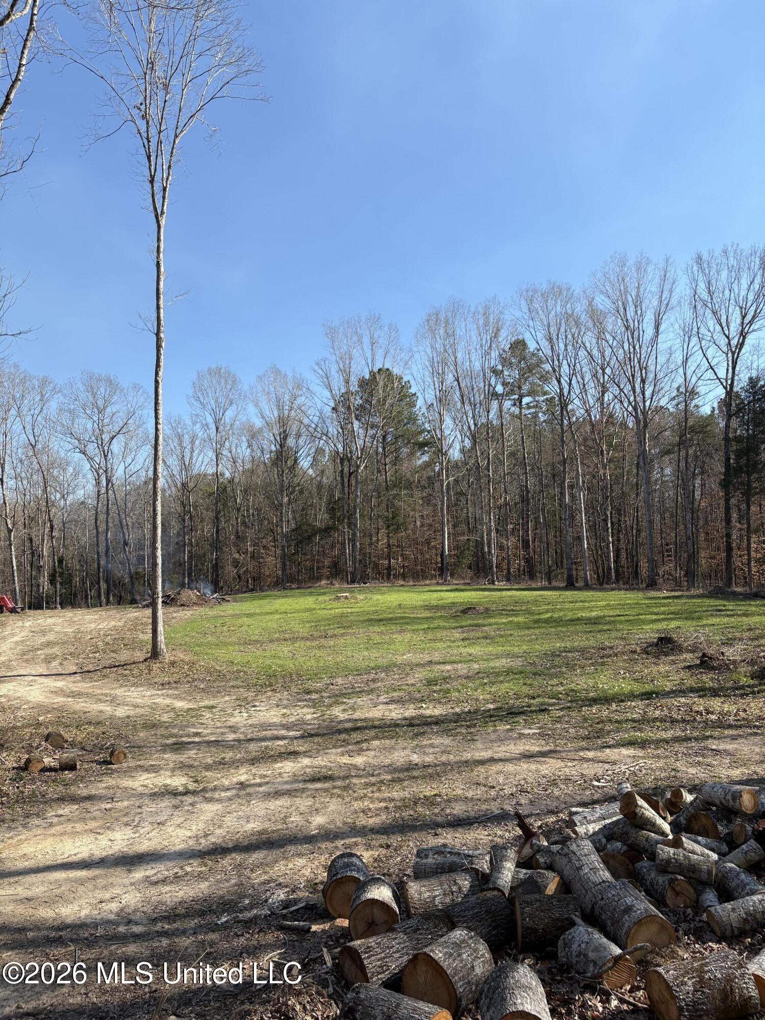 229 Barnes Road Florence, MS 39073 - Photo 9 of 27 IMG_1936