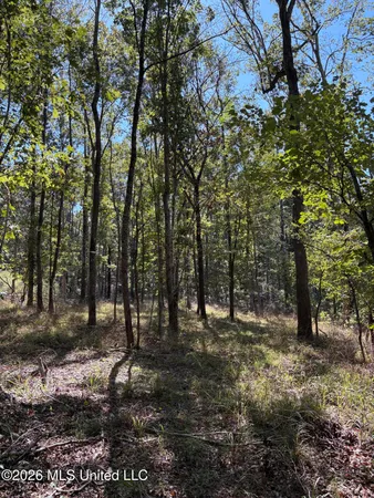 $182,000 | 229 Barnes Road, Florence, MS 39073