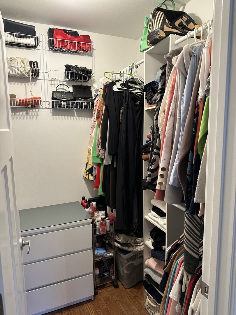 9830 Sayre Avenue, Unit 13 Chicago Ridge, IL 60415 - Photo 24 of 34 a view of walk in closet with clothes and shoes