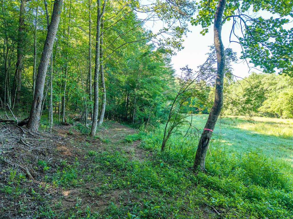 5664 Mobile Road Blue Ridge, GA 30513 - Photo 76 of 81