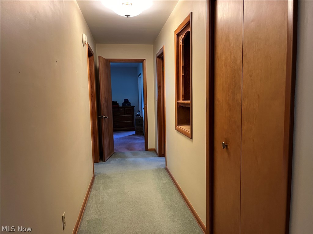 13604 Alexander Road Cleveland, OH 44125 - Photo 22 of 49 Hallway leading to the bedrooms and bathrooms. It's believed there are hardwood floors under the carpet.