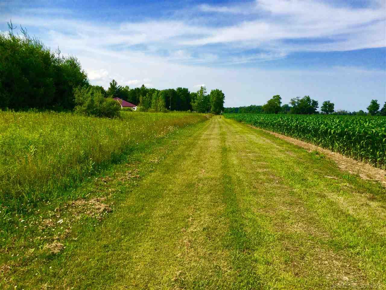 5445 Myron Road Jeddo, MI 48032 - Photo 42 of 49