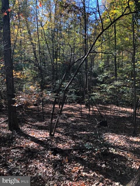 667 State Road King George, VA 22485 - Photo 1 of 16 Beautiful green landscape