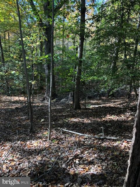 667 State Road King George, VA 22485 - Photo 4 of 16