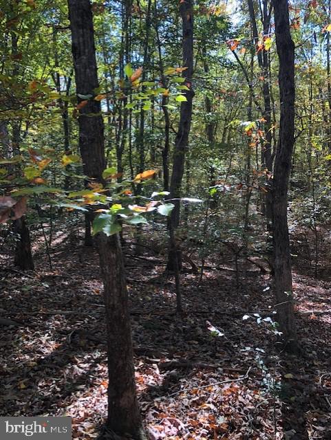667 State Road King George, VA 22485 - Photo 5 of 16