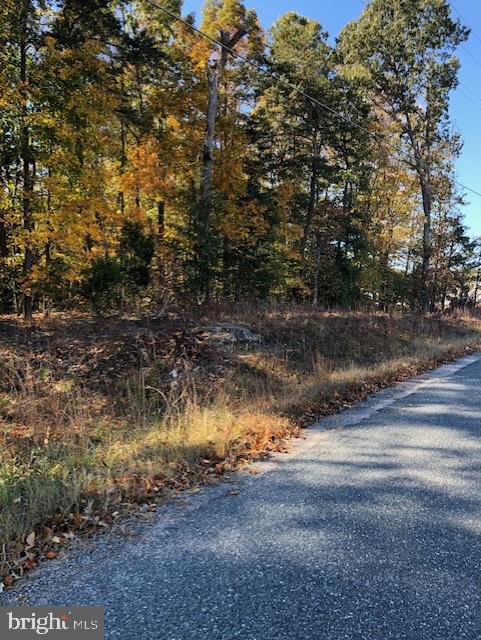 667 State Road King George, VA 22485 - Photo 8 of 16 State Road