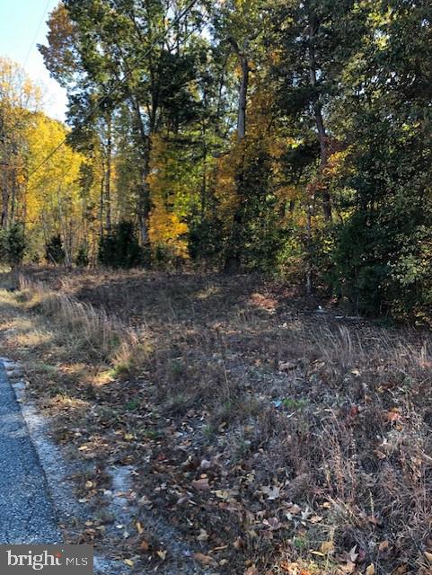 667 State Road King George, VA 22485 - Photo 9 of 16