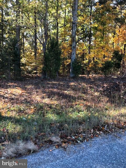 667 State Road King George, VA 22485 - Photo 10 of 16