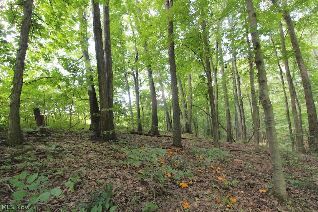 Delphi Road Freeport, OH 43973 - Photo 28 of 35 Gallery Image 28