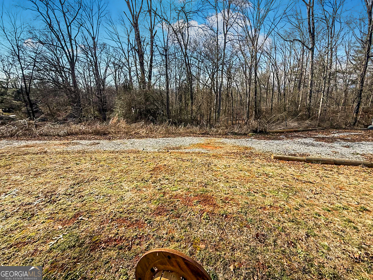 515 Cool Springs Road Clarkesville, GA 30523 - Photo 3 of 17