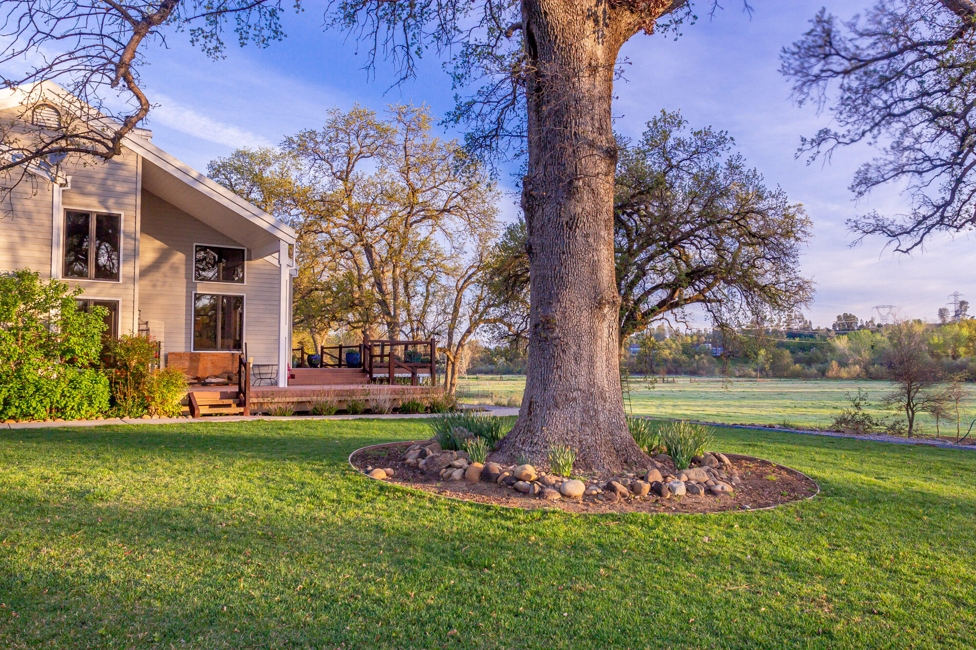 23848 Springwood Way Millville, CA 96062 - Photo 46 of 99 Side of house and field