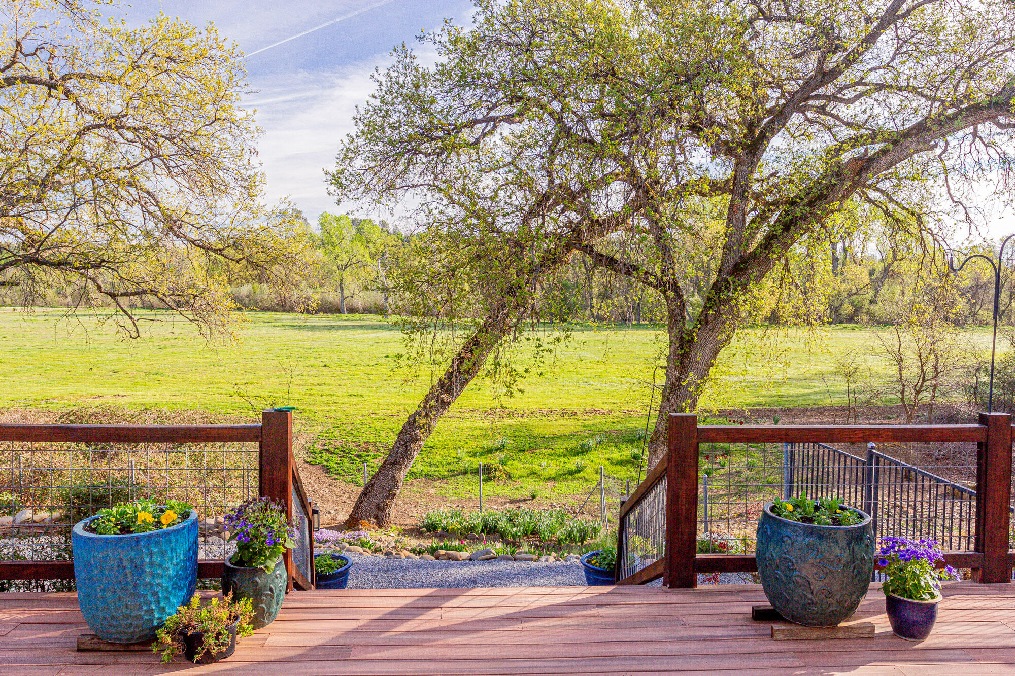 23848 Springwood Way Millville, CA 96062 - Photo 51 of 99 a view of a terrace with a potted plant and large trees