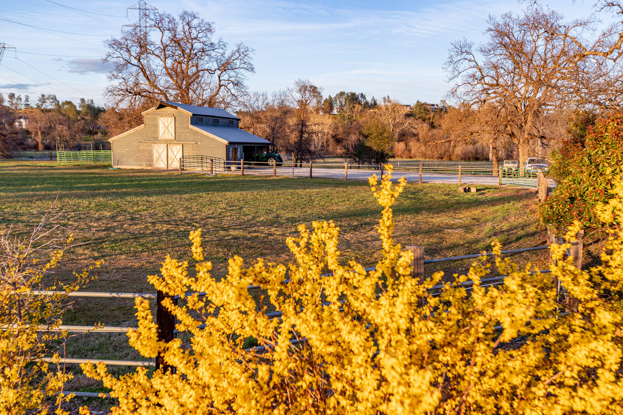 23848 Springwood Way Millville, CA 96062 - Photo 56 of 99 a view of an outdoor space