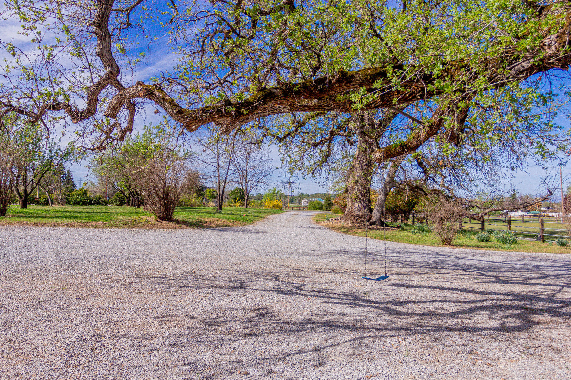 23848 Springwood Way Millville, CA 96062 - Photo 62 of 99 a view of a playground with a house and large trees