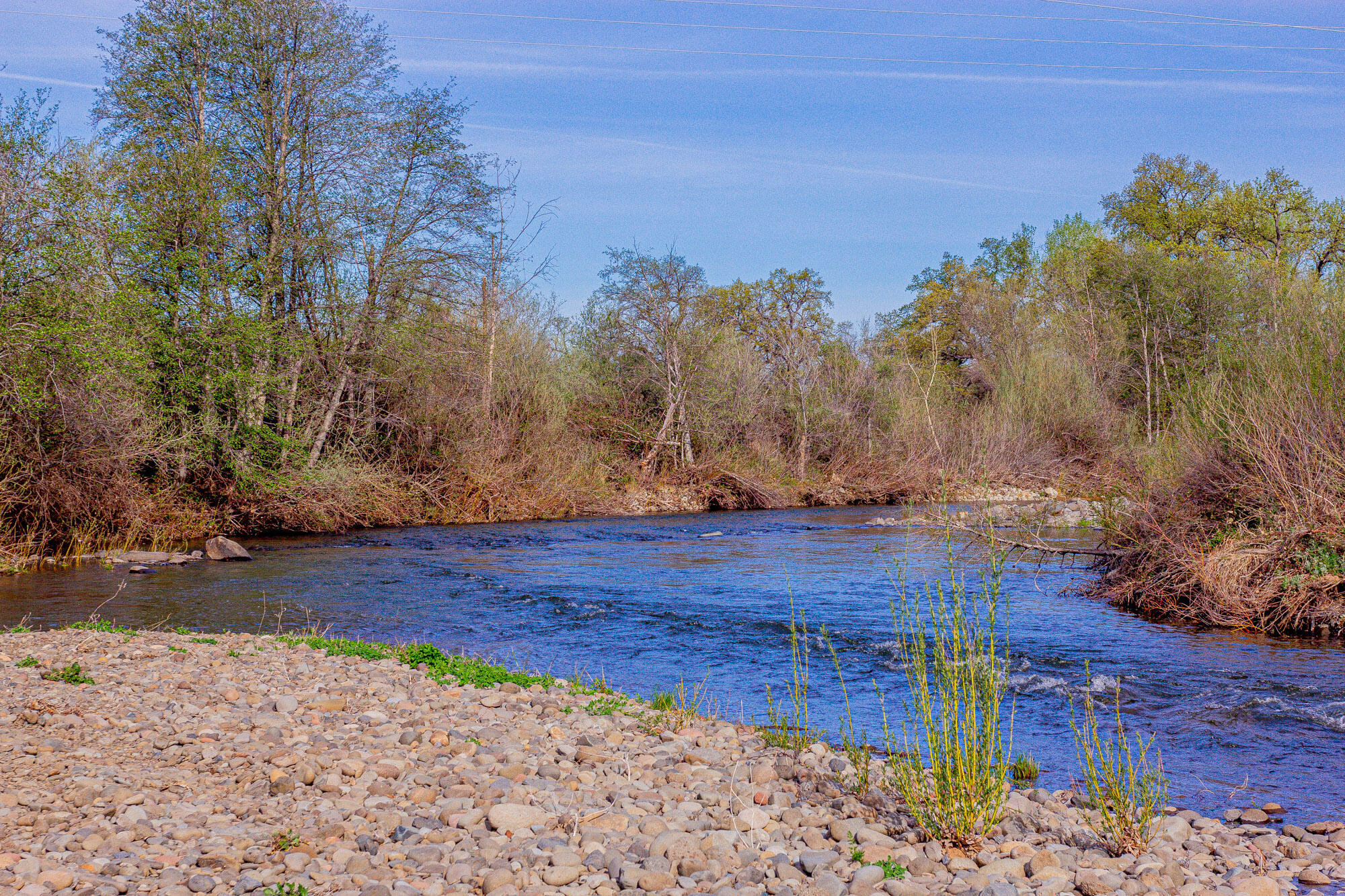 23848 Springwood Way Millville, CA 96062 - Photo 66 of 99 Creek 2