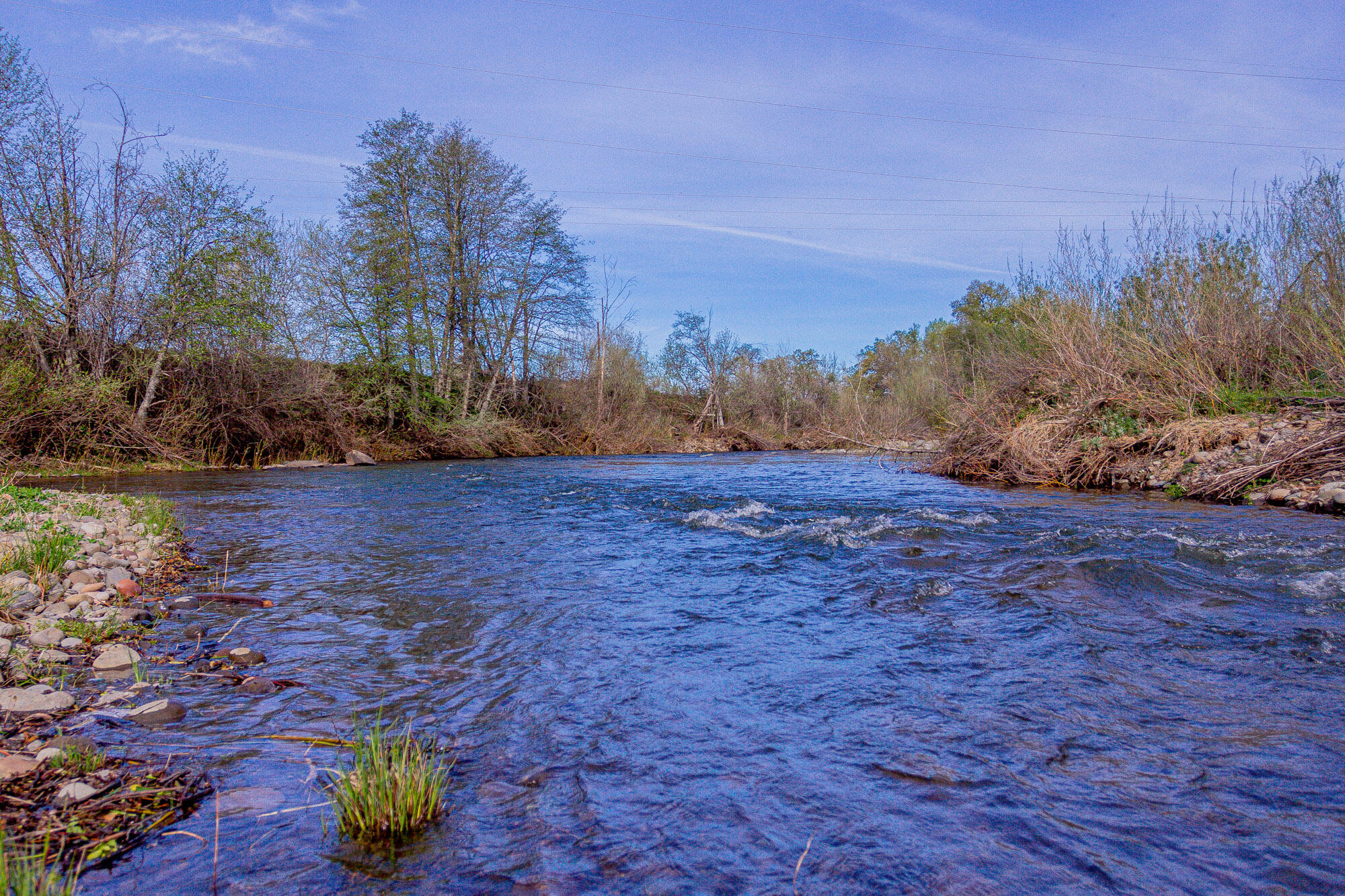 23848 Springwood Way Millville, CA 96062 - Photo 67 of 99 Creek 3