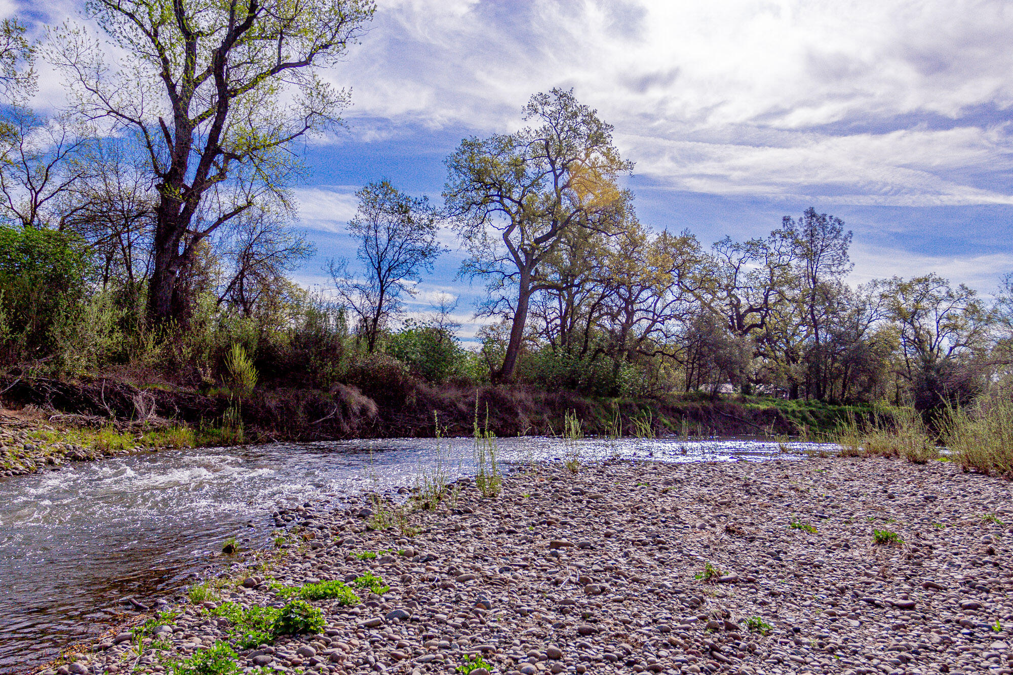 23848 Springwood Way Millville, CA 96062 - Photo 68 of 99 Creek 4