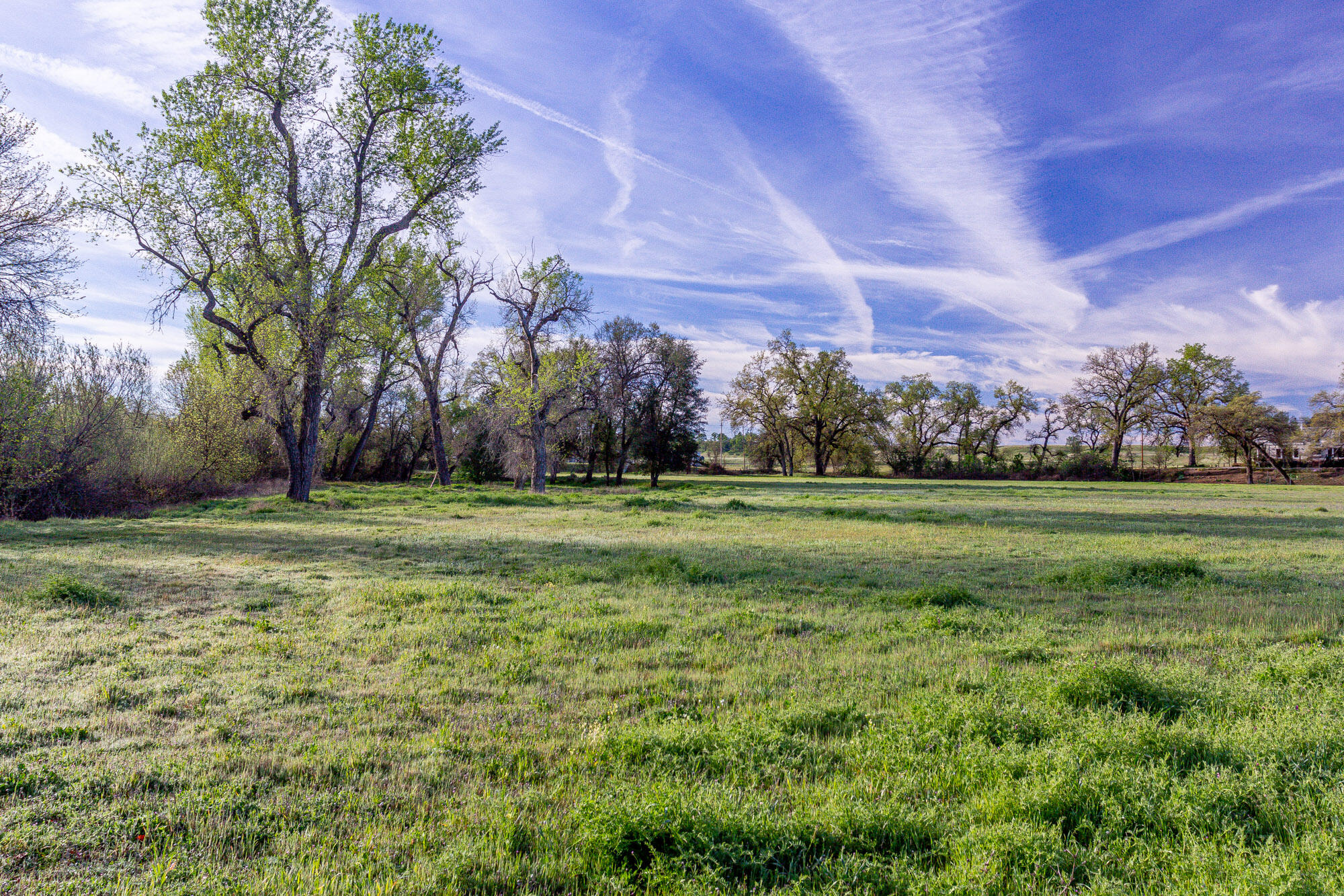 23848 Springwood Way Millville, CA 96062 - Photo 70 of 99 a view of a field with a tree