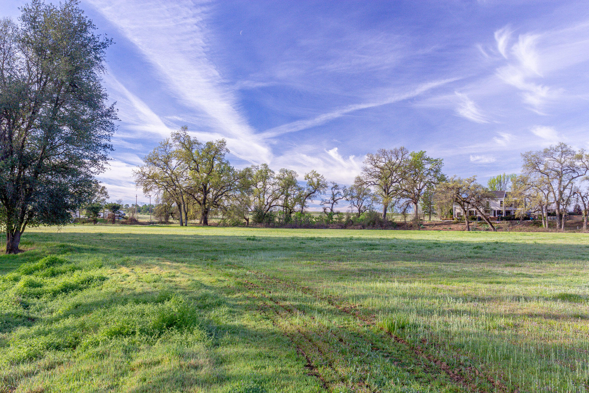 23848 Springwood Way Millville, CA 96062 - Photo 71 of 99 Field 2 toward house