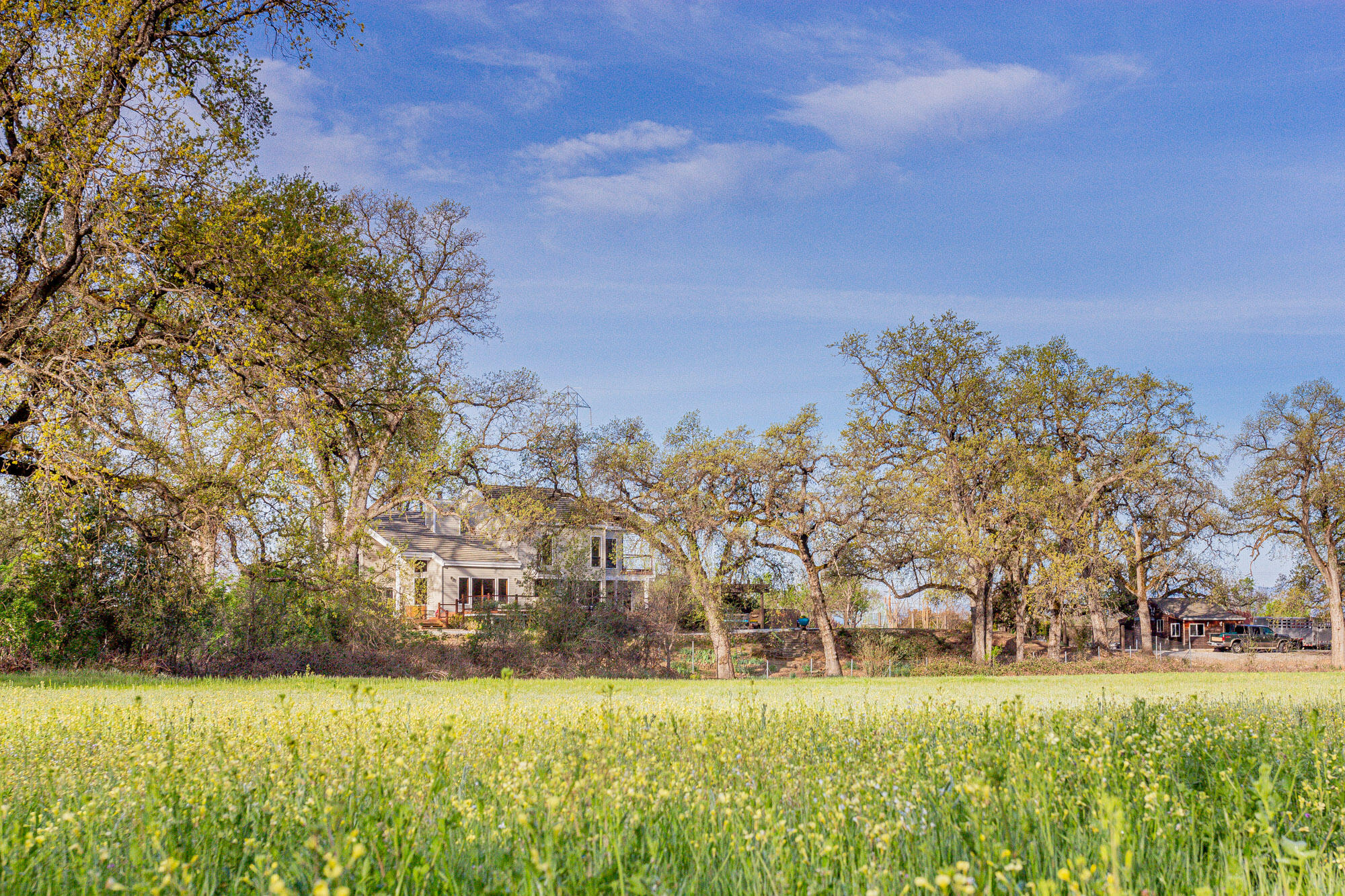 23848 Springwood Way Millville, CA 96062 - Photo 72 of 99 Field 3 toward house