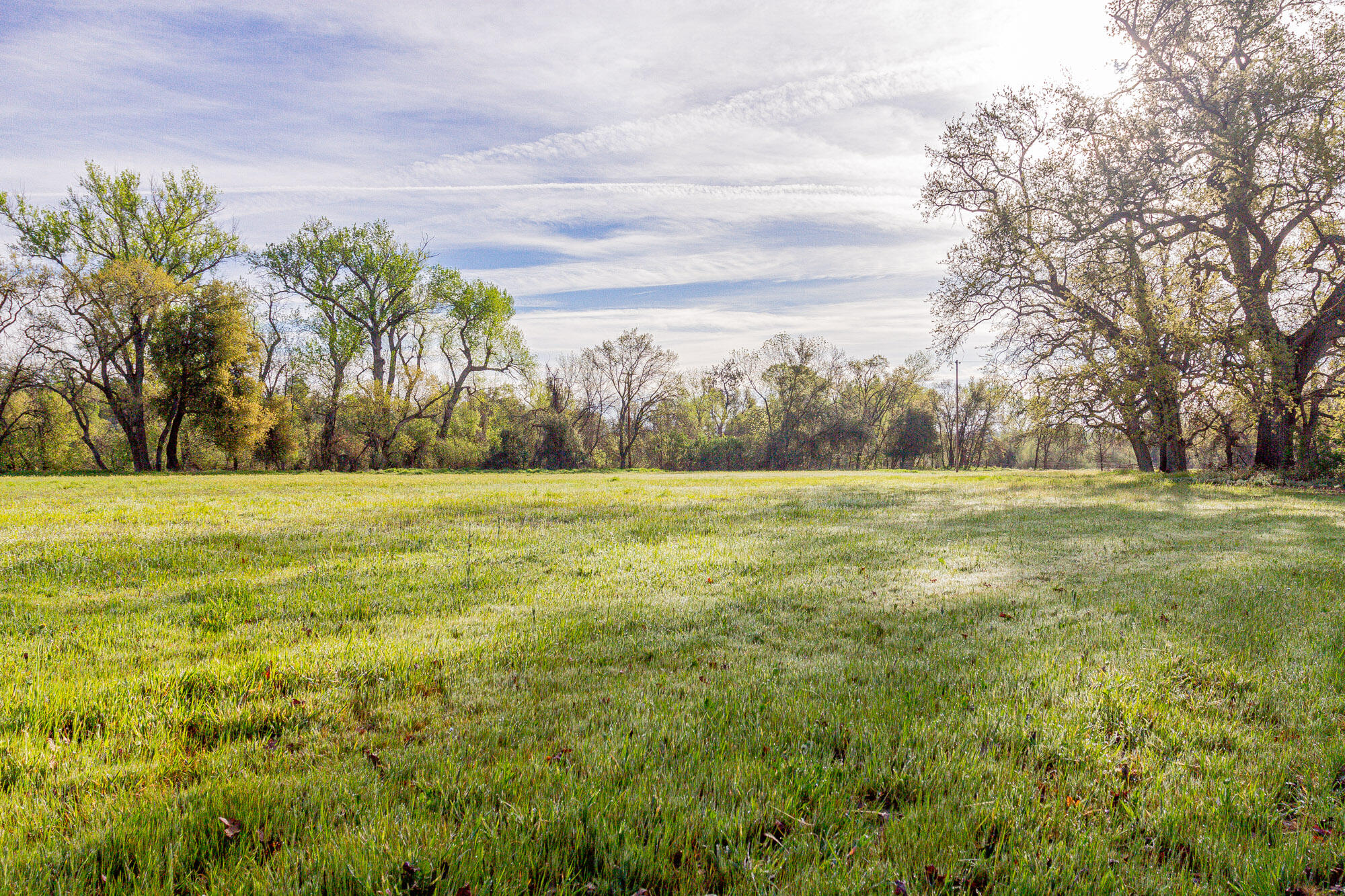 23848 Springwood Way Millville, CA 96062 - Photo 74 of 99 a view of outdoor space with yard