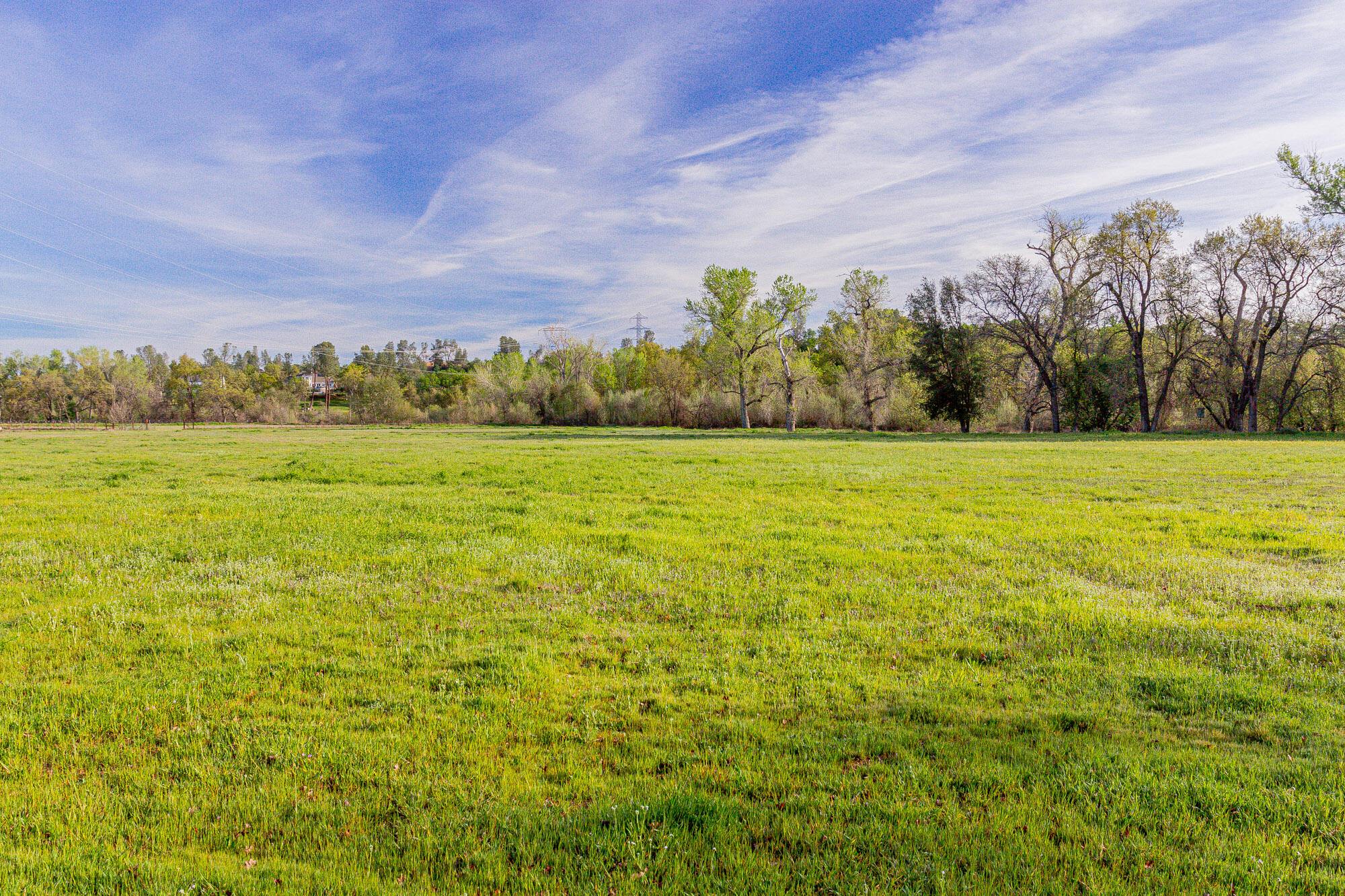 23848 Springwood Way Millville, CA 96062 - Photo 75 of 99 Field 5