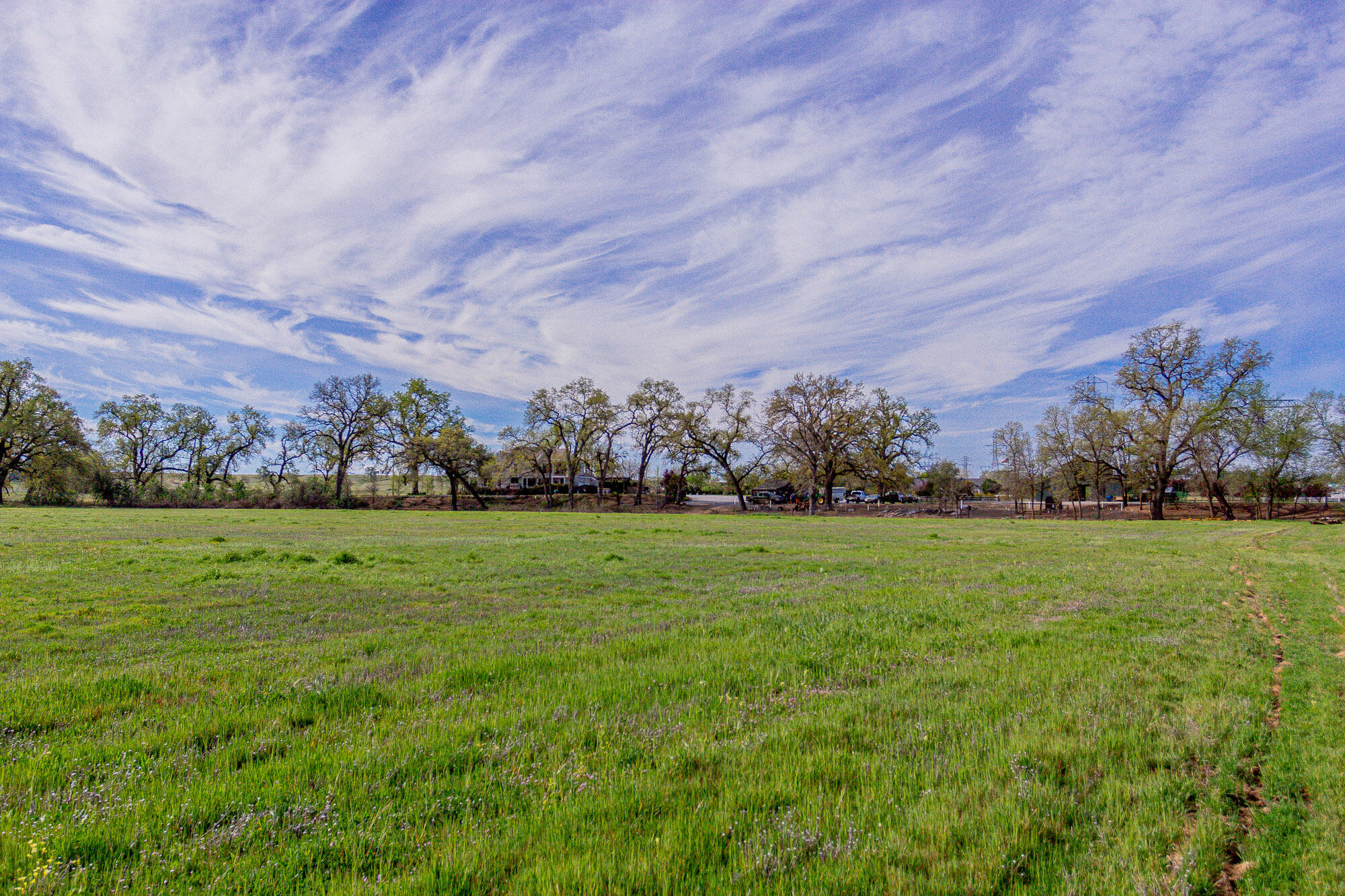 23848 Springwood Way Millville, CA 96062 - Photo 77 of 99 Field 6 toward house