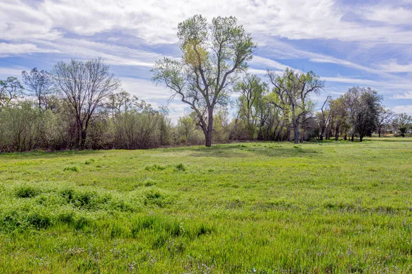 $1,200,000 | 23848 Springwood Way, Millville, CA 96062